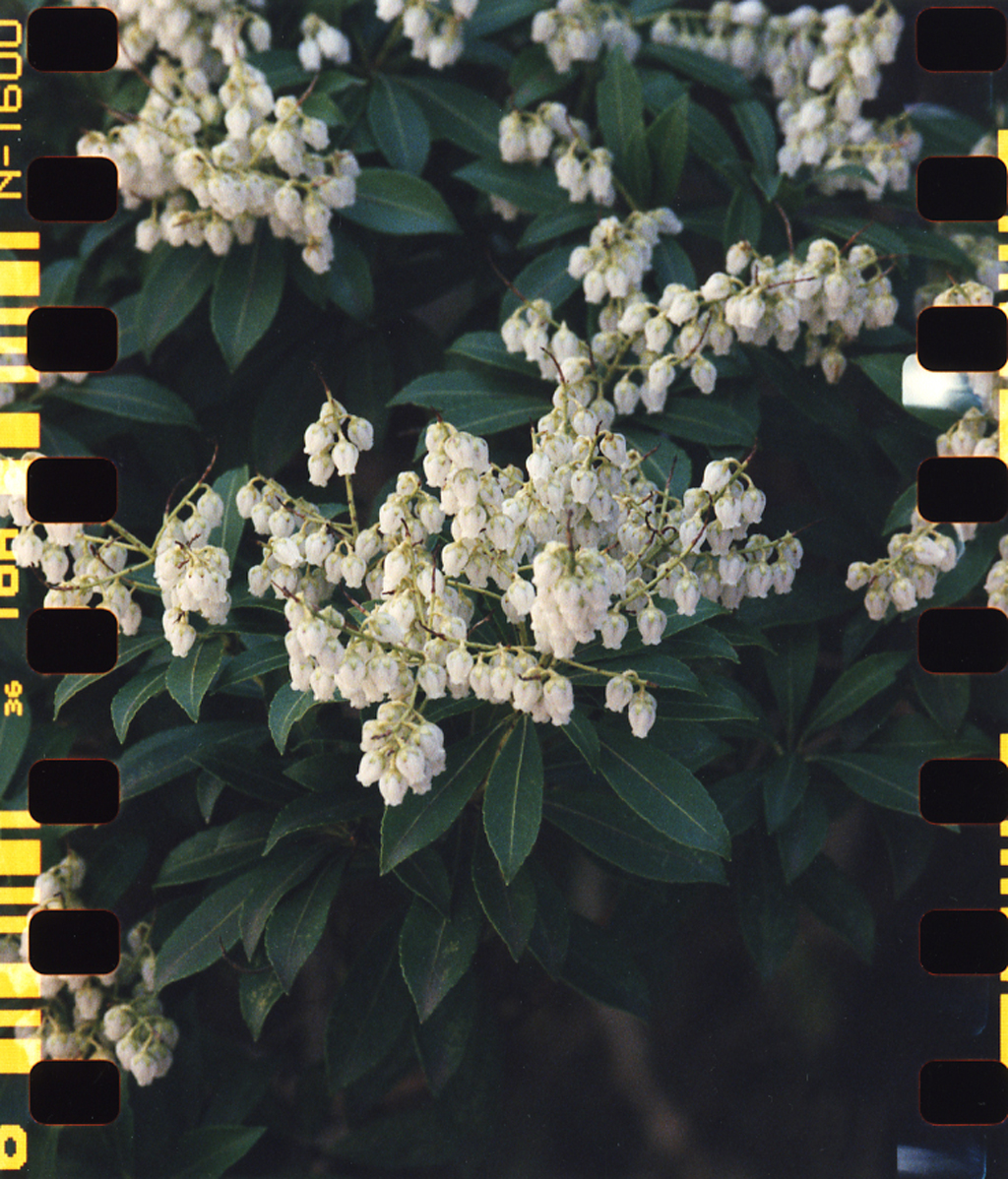 135-02
